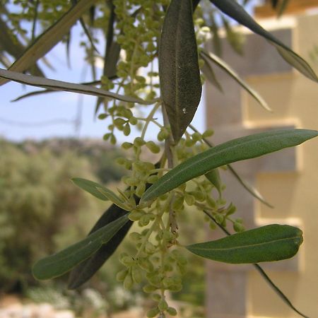 Stratos Villas Kaloniktis Dış mekan fotoğraf