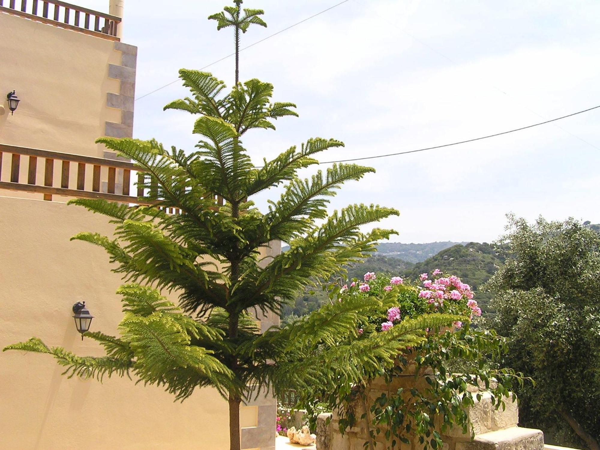 Stratos Villas Kaloniktis Dış mekan fotoğraf