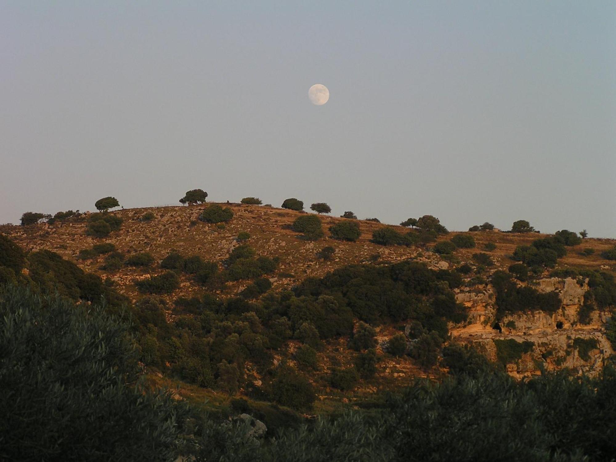 Stratos Villas Kaloniktis Oda fotoğraf